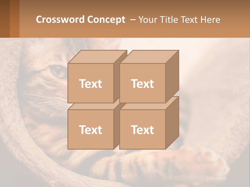 Cat On The Couch PowerPoint Template