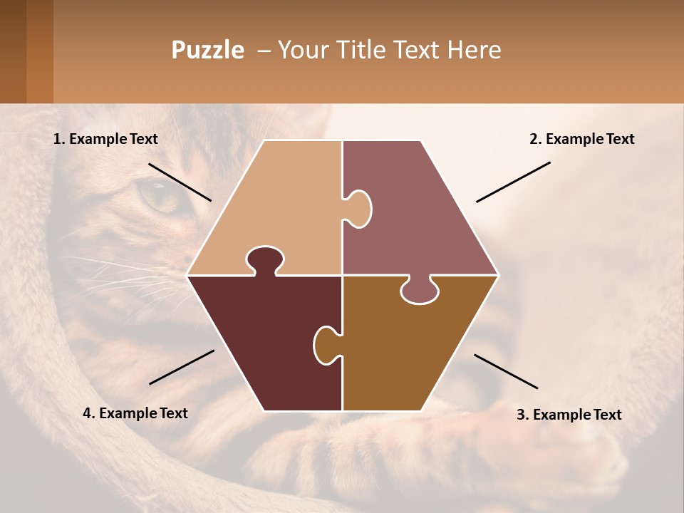 Cat On The Couch PowerPoint Template