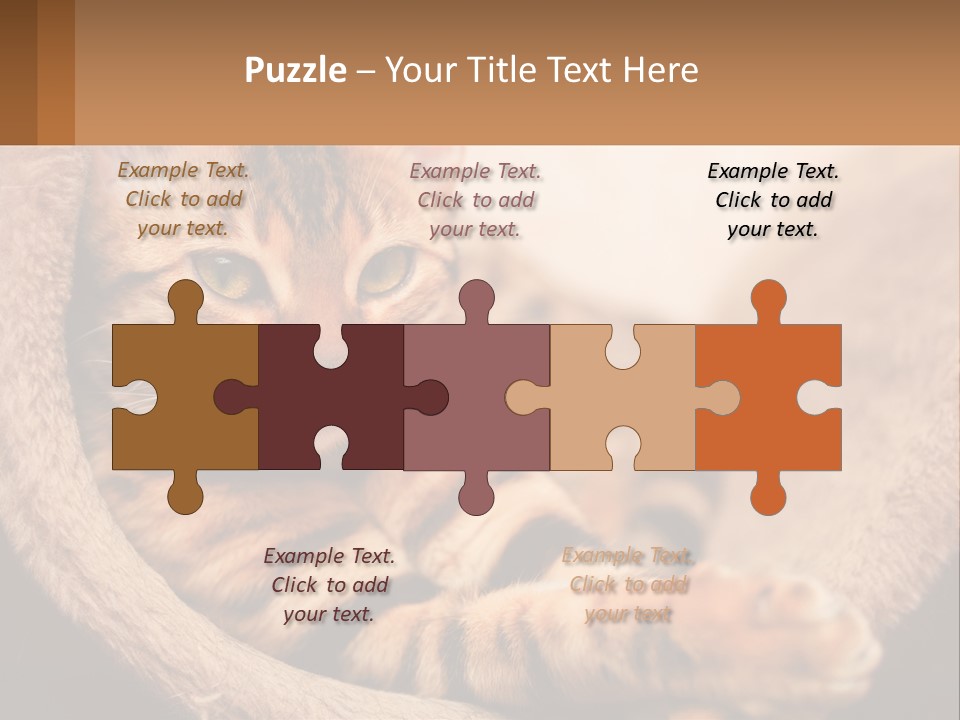 Cat On The Couch PowerPoint Template