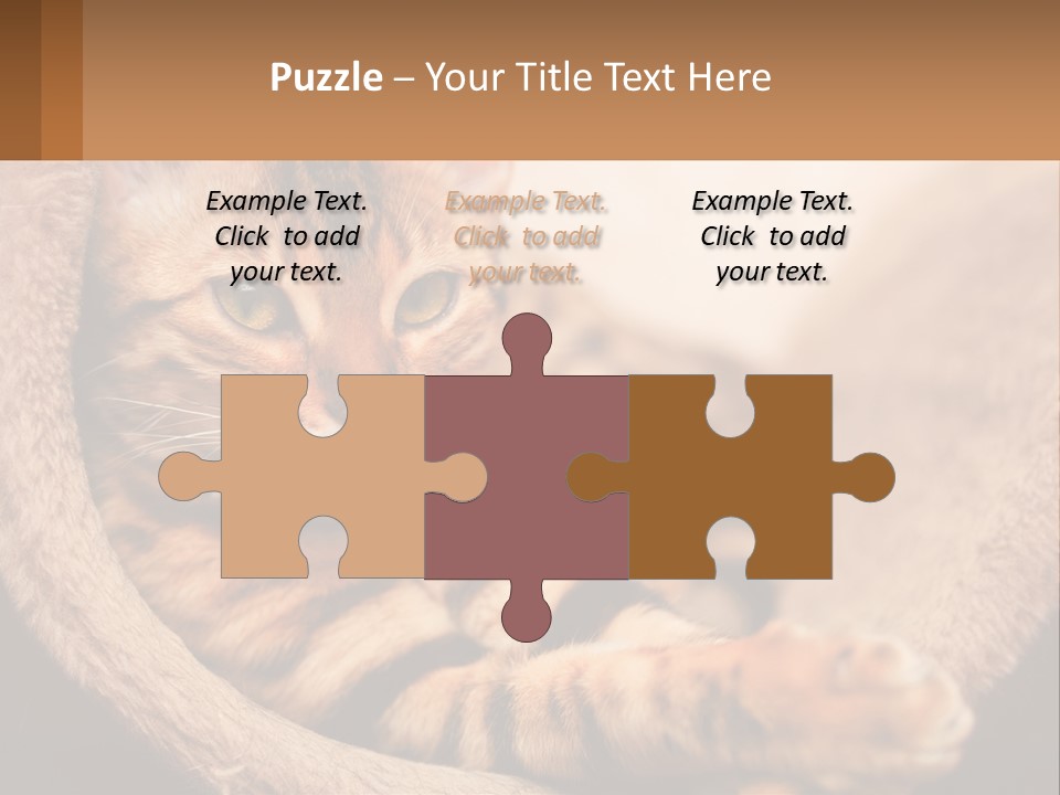 Cat On The Couch PowerPoint Template