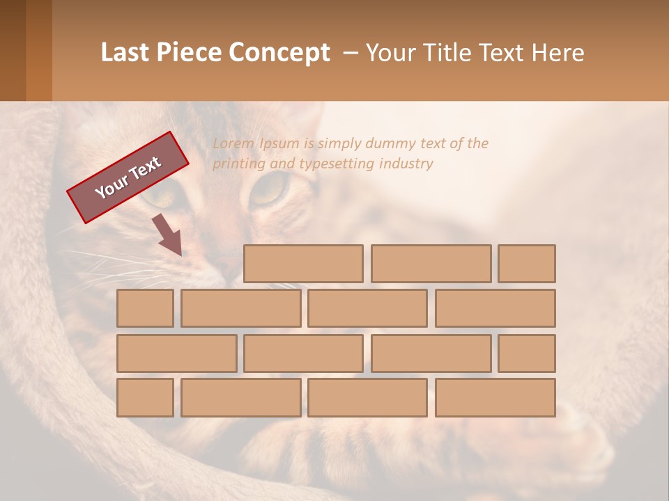 Cat On The Couch PowerPoint Template