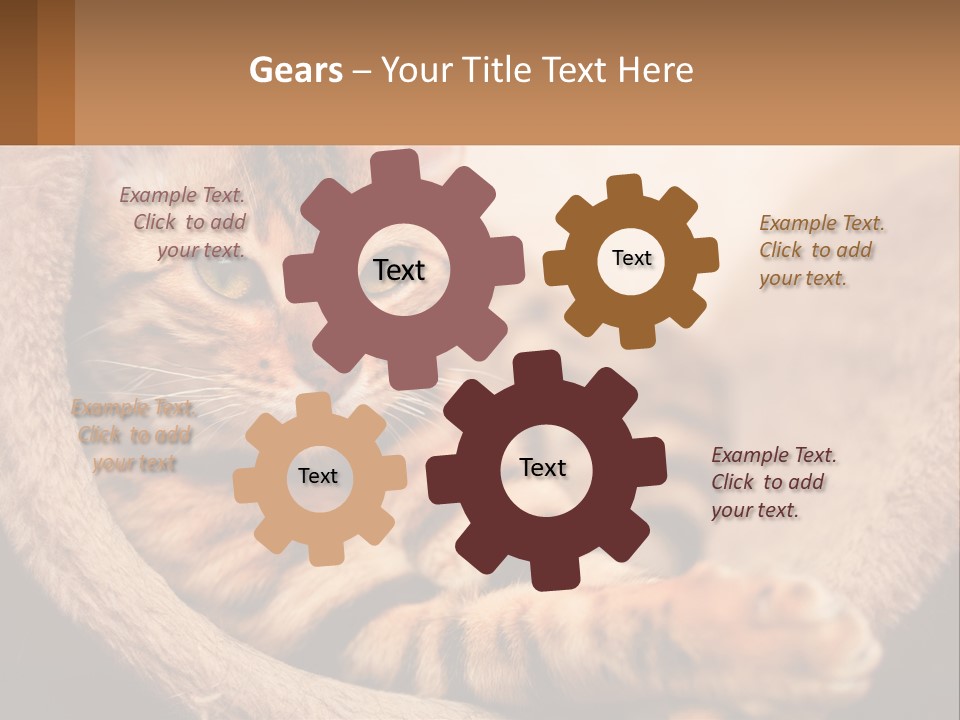 Cat On The Couch PowerPoint Template