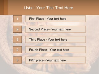 Cat On The Couch PowerPoint Template