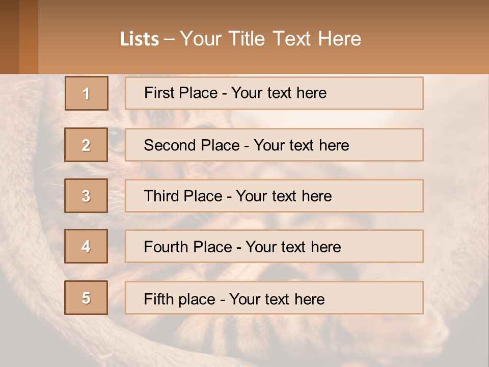 Cat On The Couch PowerPoint Template