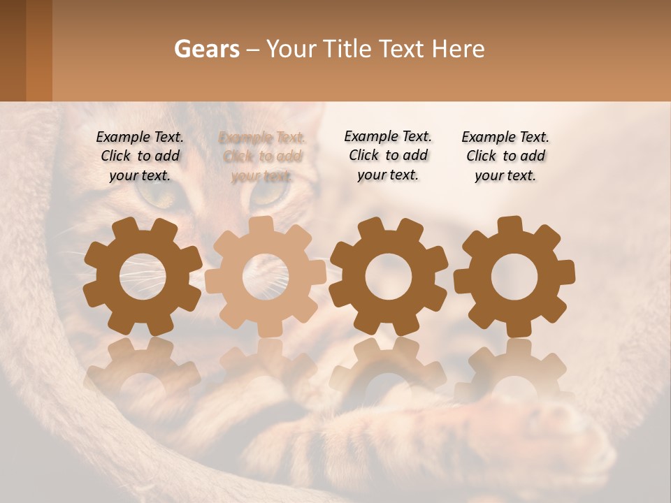 Cat On The Couch PowerPoint Template