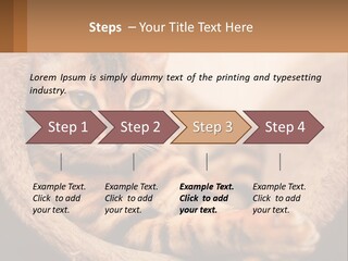 Cat On The Couch PowerPoint Template