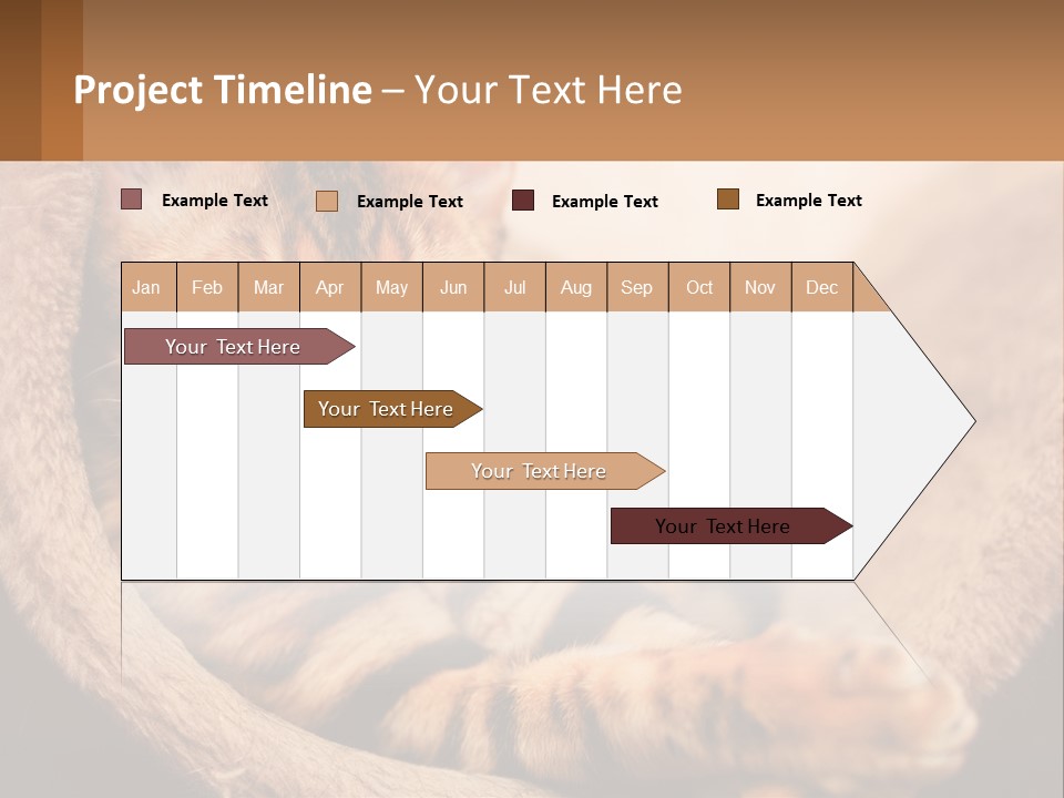 Cat On The Couch PowerPoint Template