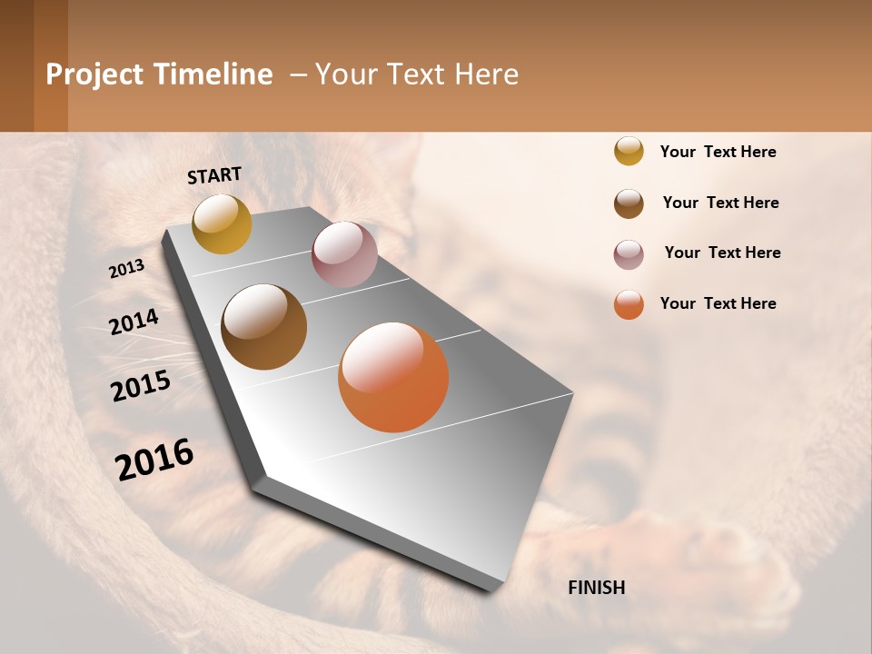 Cat On The Couch PowerPoint Template