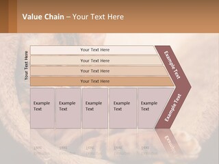 Cat On The Couch PowerPoint Template