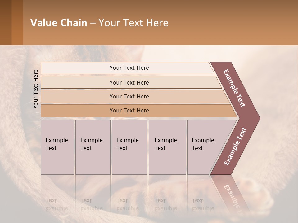 Cat On The Couch PowerPoint Template