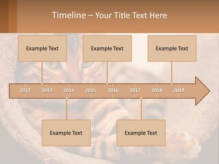 Cat On The Couch PowerPoint Template