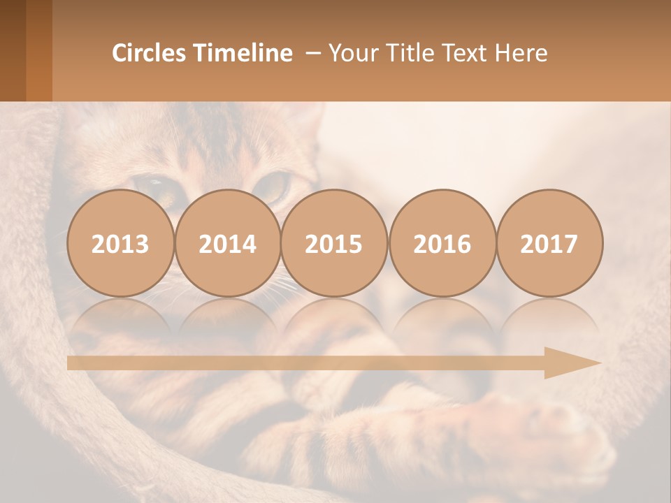 Cat On The Couch PowerPoint Template