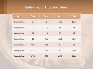 Cat On The Couch PowerPoint Template