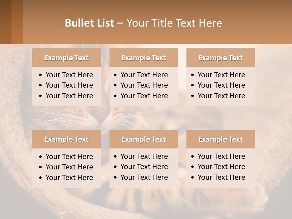 Cat On The Couch PowerPoint Template