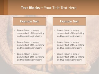 Cat On The Couch PowerPoint Template