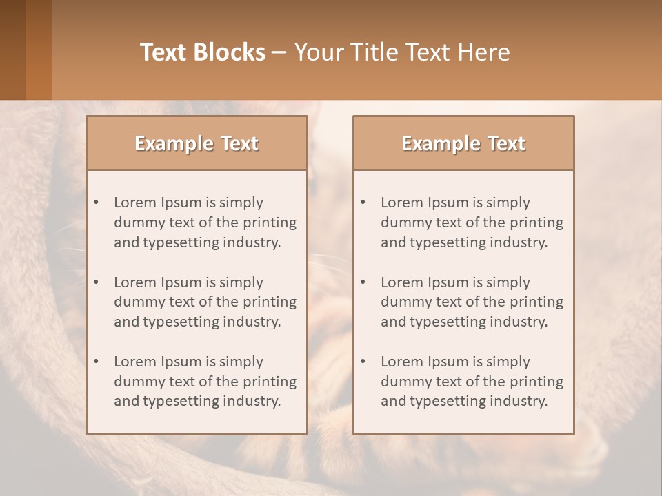 Cat On The Couch PowerPoint Template