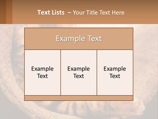 Cat On The Couch PowerPoint Template