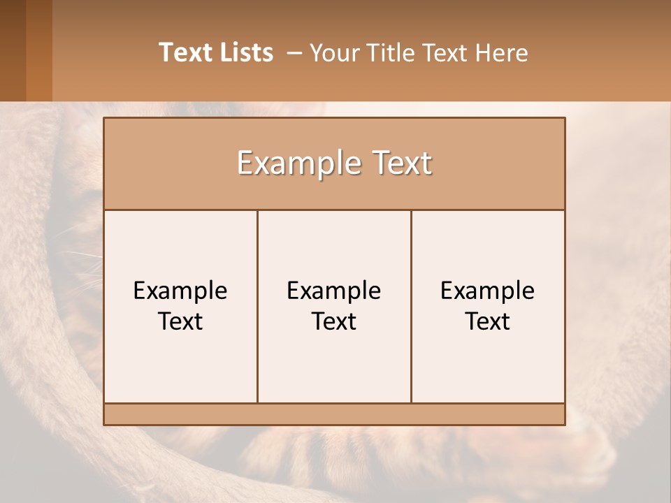 Cat On The Couch PowerPoint Template