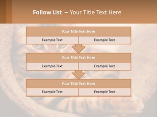 Cat On The Couch PowerPoint Template