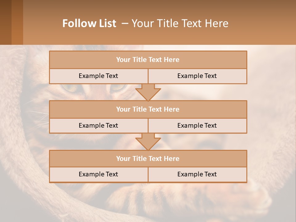 Cat On The Couch PowerPoint Template