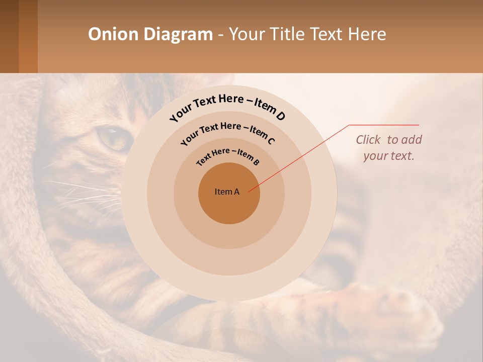 Cat On The Couch PowerPoint Template