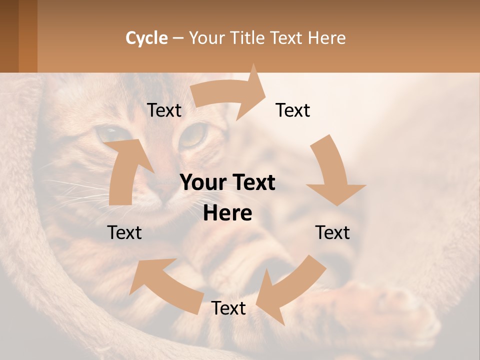 Cat On The Couch PowerPoint Template
