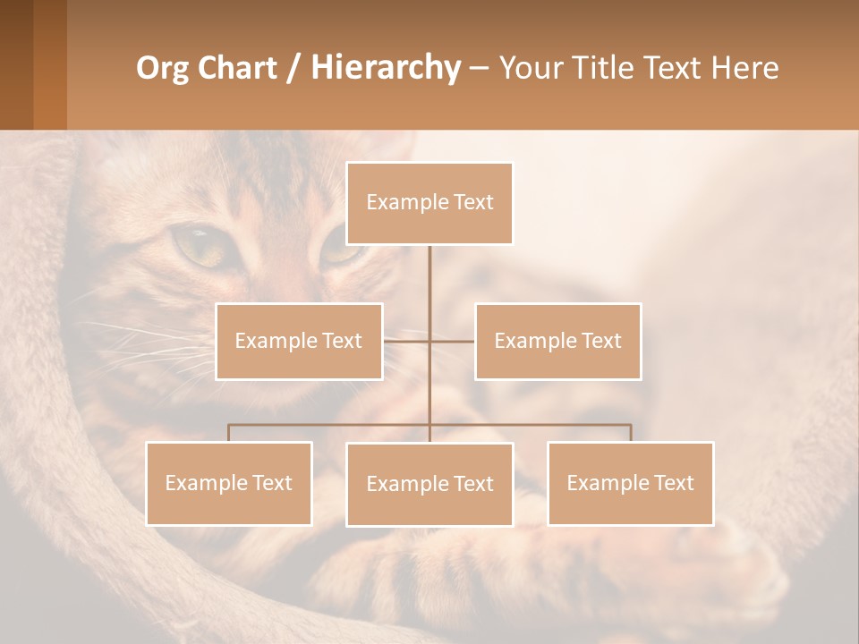 Cat On The Couch PowerPoint Template