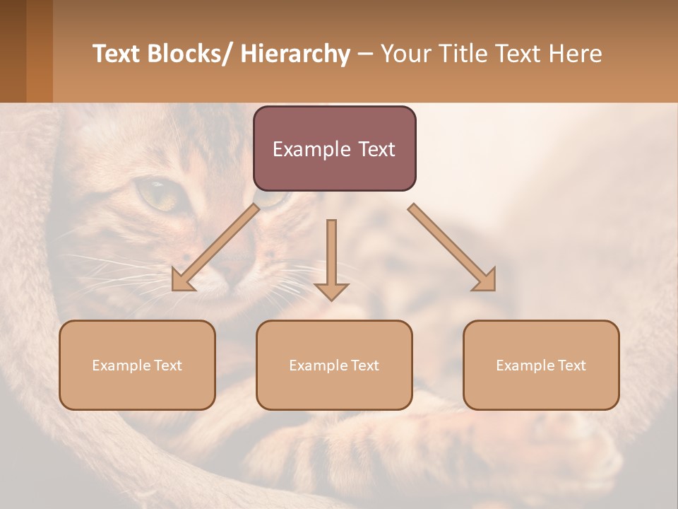 Cat On The Couch PowerPoint Template