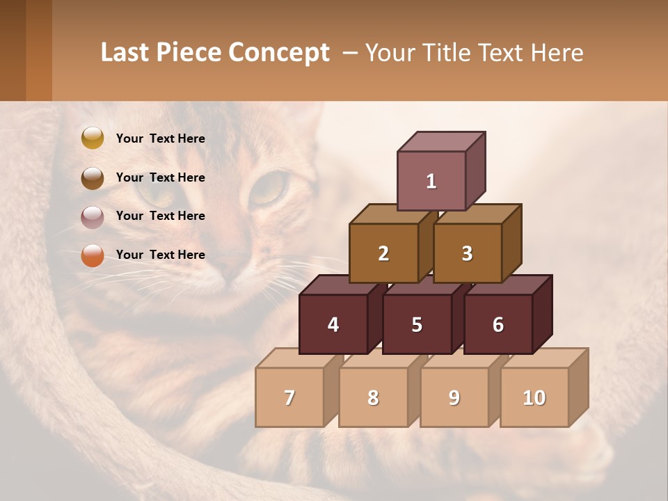 Cat On The Couch PowerPoint Template