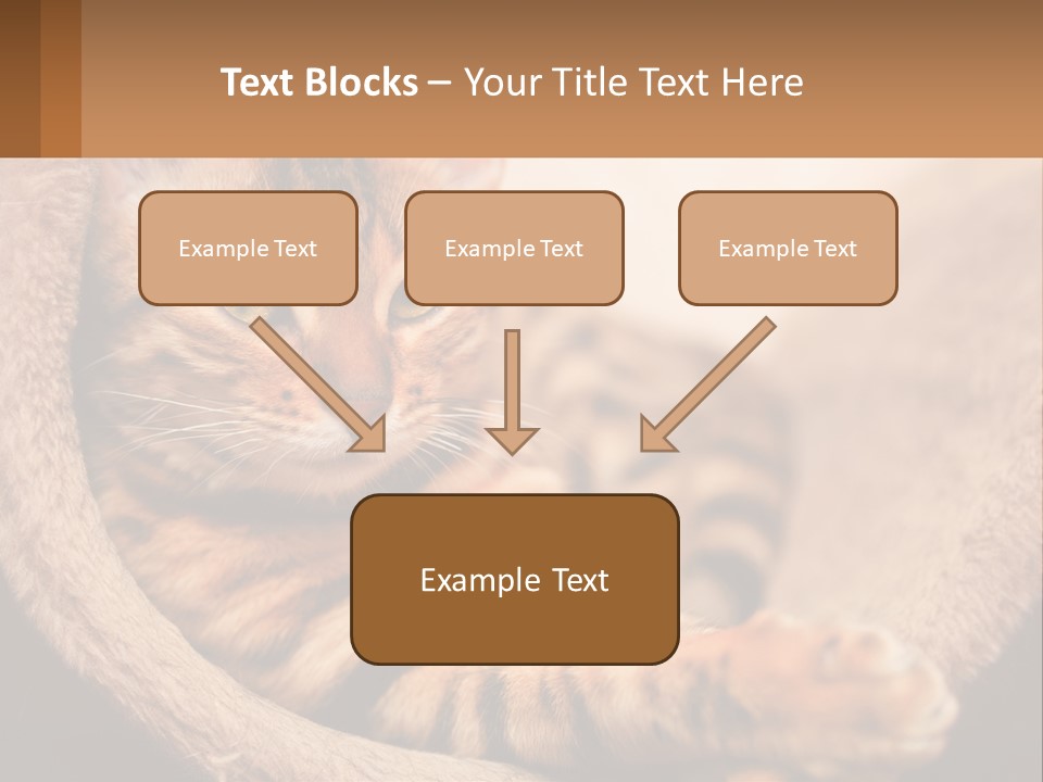Cat On The Couch PowerPoint Template