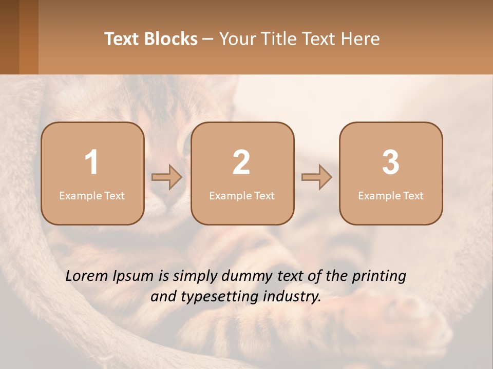 Cat On The Couch PowerPoint Template