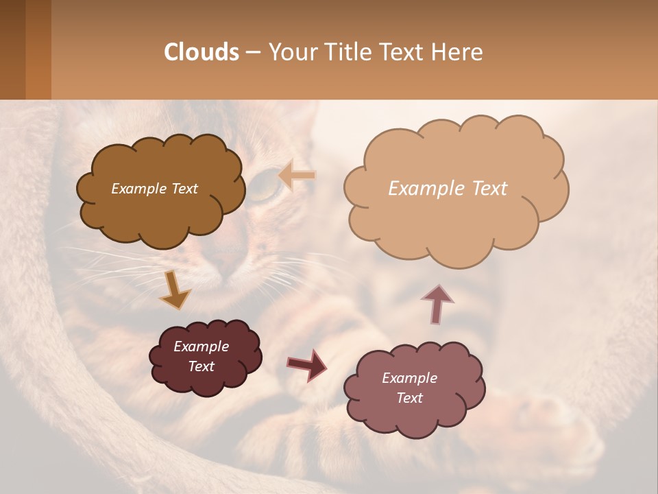 Cat On The Couch PowerPoint Template