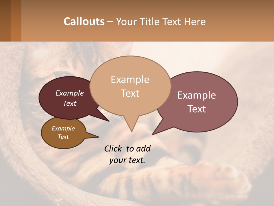 Cat On The Couch PowerPoint Template