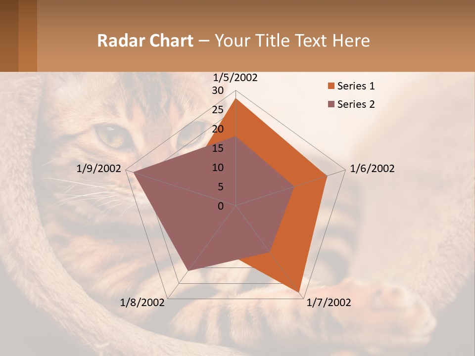 Cat On The Couch PowerPoint Template