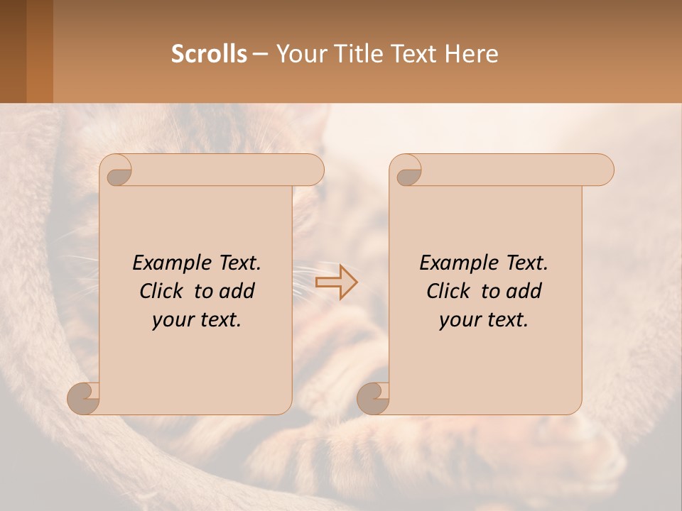 Cat On The Couch PowerPoint Template