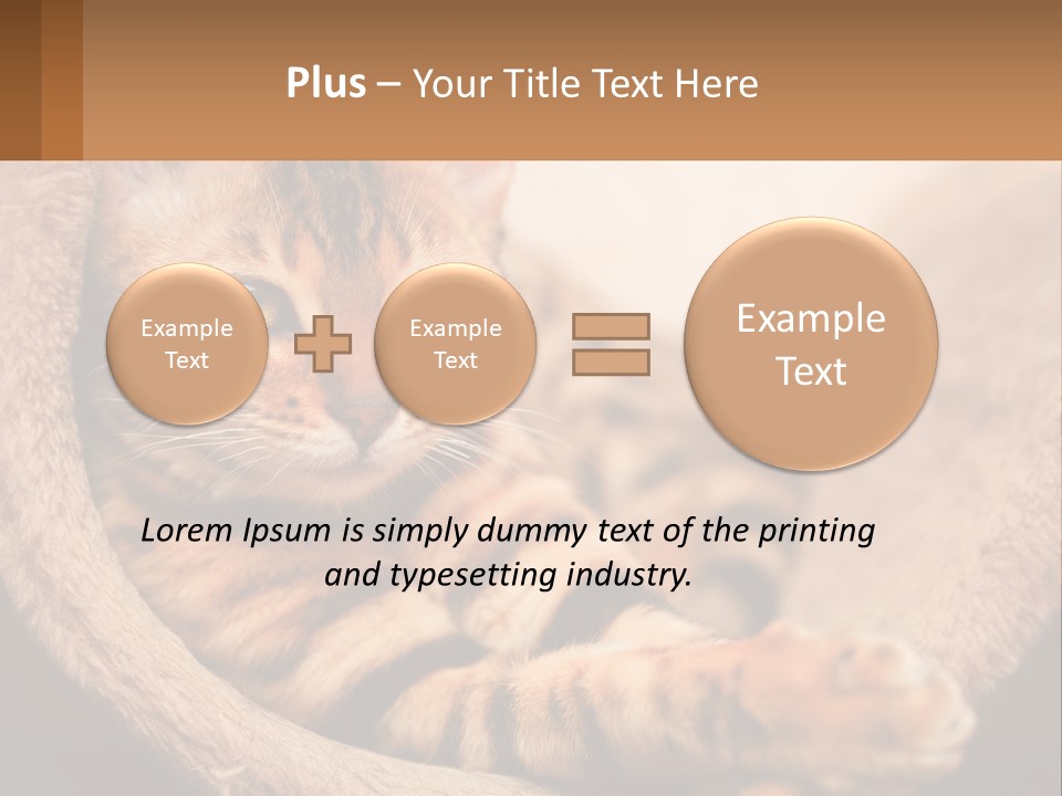 Cat On The Couch PowerPoint Template