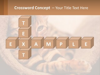 Cat On The Couch PowerPoint Template