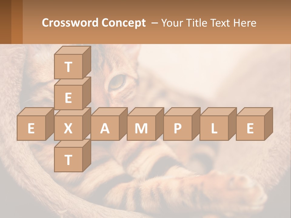 Cat On The Couch PowerPoint Template