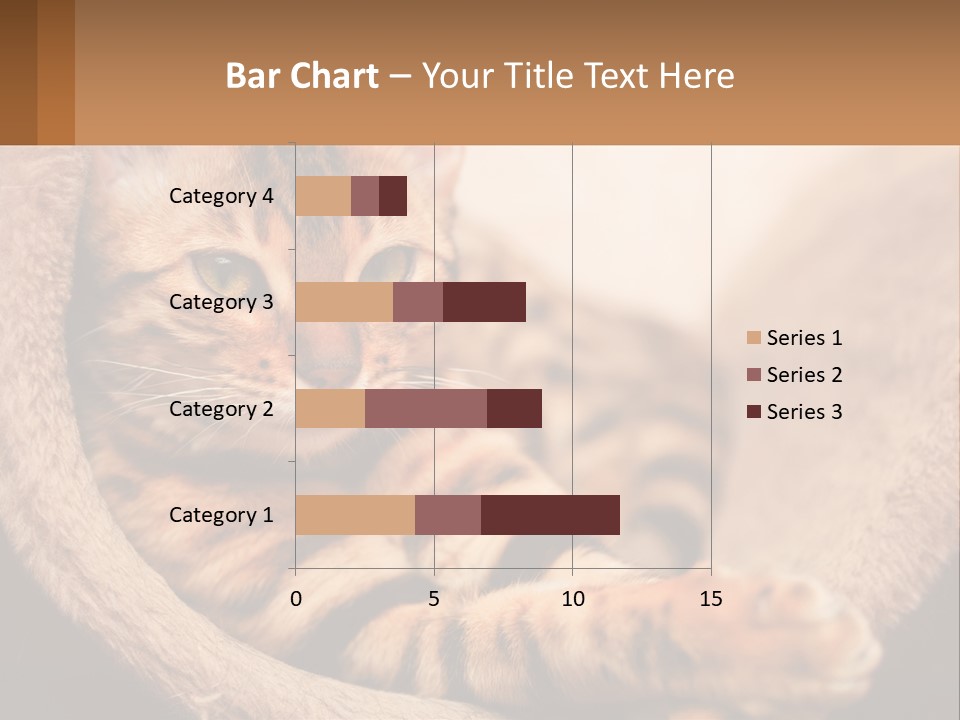 Cat On The Couch PowerPoint Template