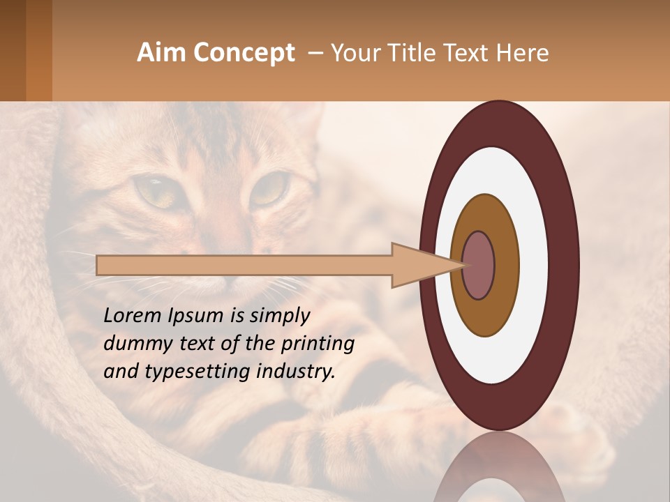 Cat On The Couch PowerPoint Template