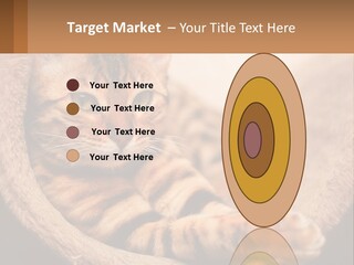 Cat On The Couch PowerPoint Template