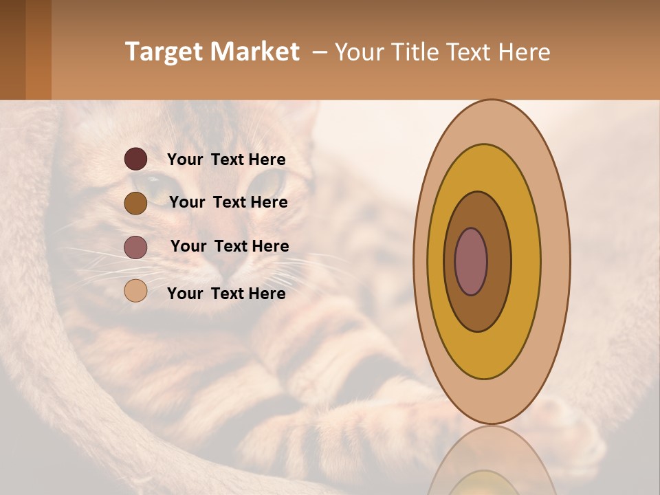 Cat On The Couch PowerPoint Template