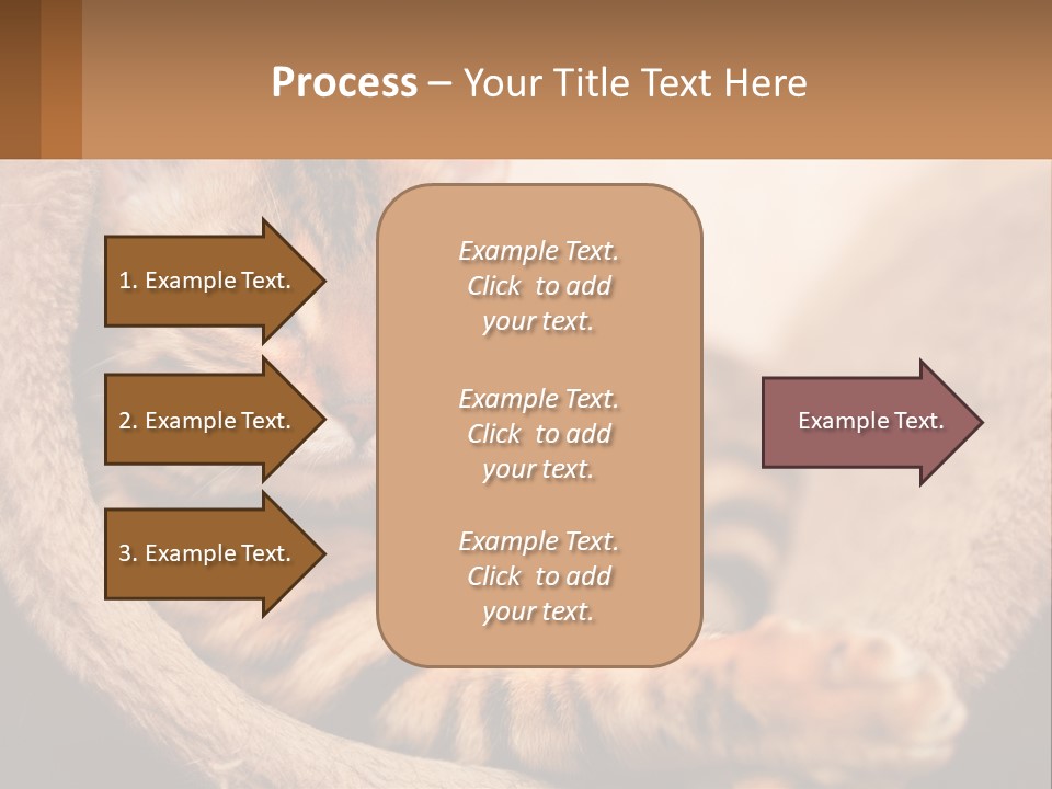 Cat On The Couch PowerPoint Template