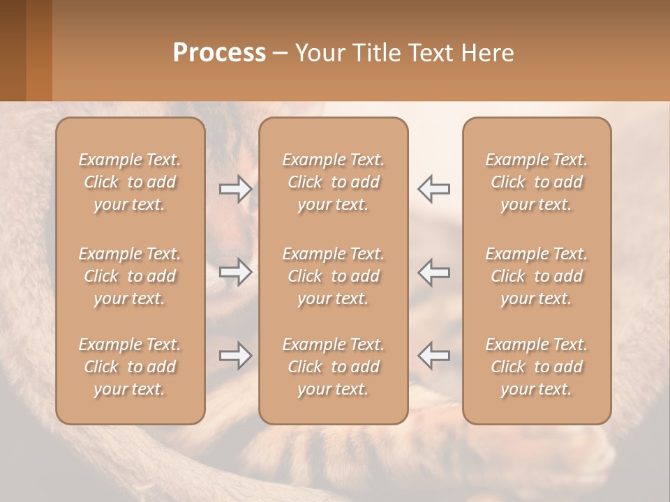 Cat On The Couch PowerPoint Template