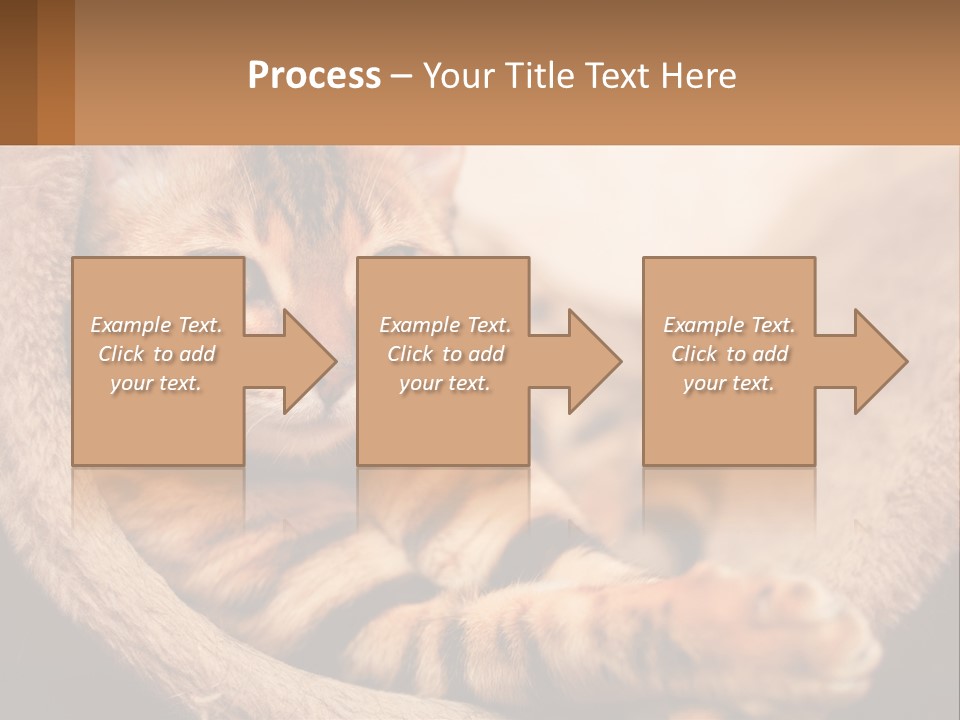 Cat On The Couch PowerPoint Template