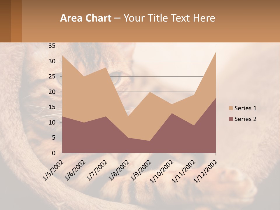Cat On The Couch PowerPoint Template
