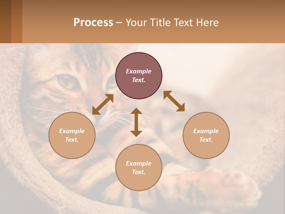 Cat On The Couch PowerPoint Template