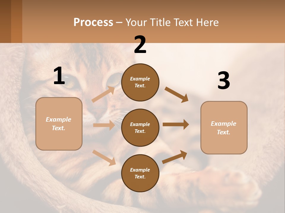 Cat On The Couch PowerPoint Template