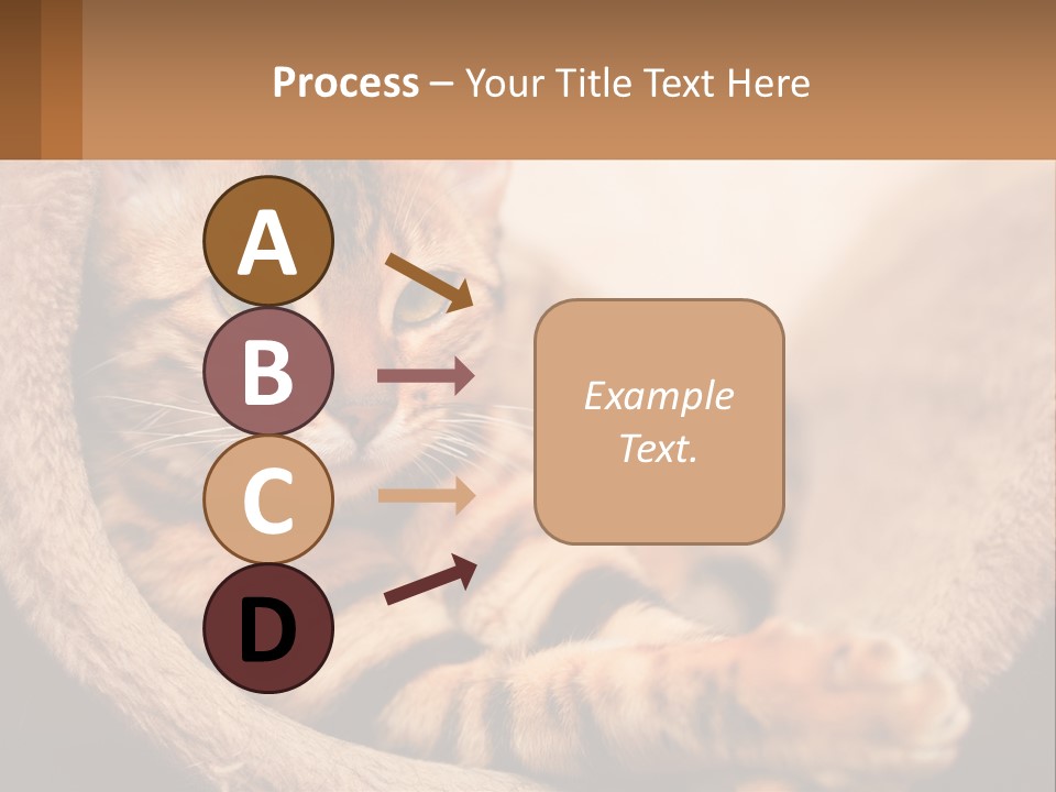 Cat On The Couch PowerPoint Template