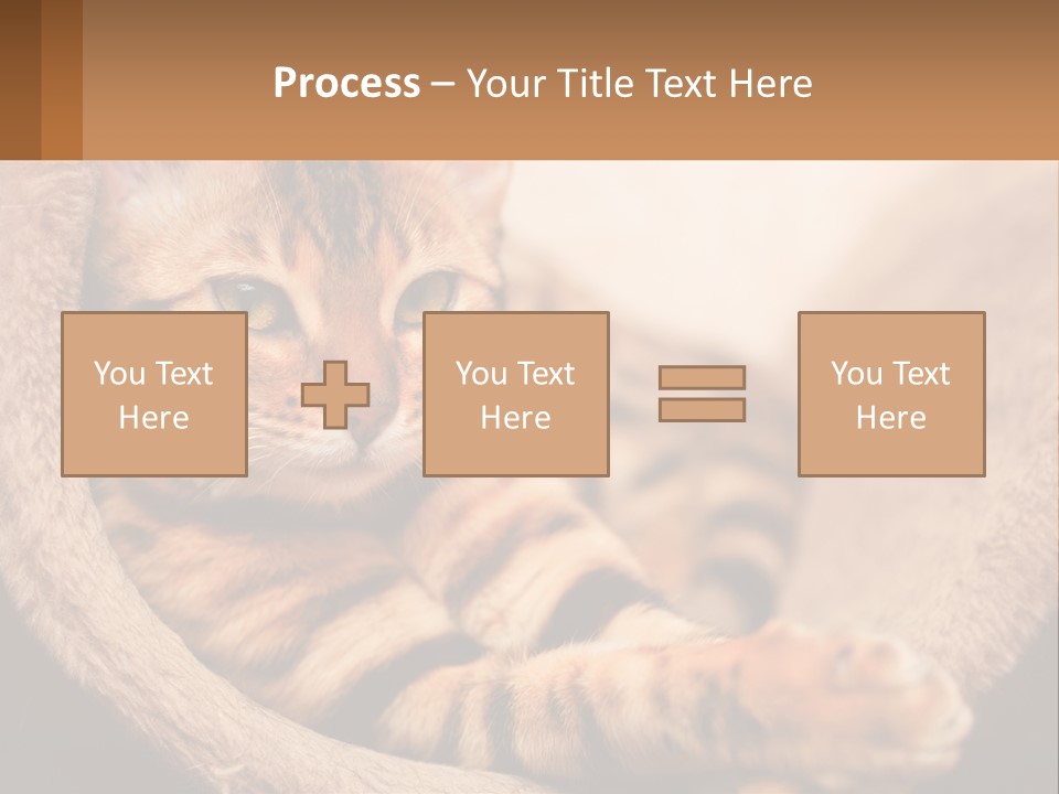 Cat On The Couch PowerPoint Template